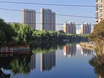 王波明发声：董明珠，请道歉